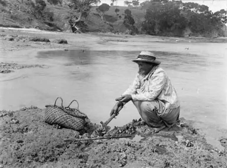 Image: Collecting shellfish