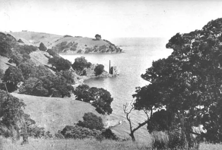 Image: Kawau Island