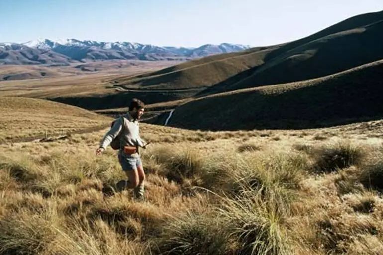 Image: Surveying an ecological district