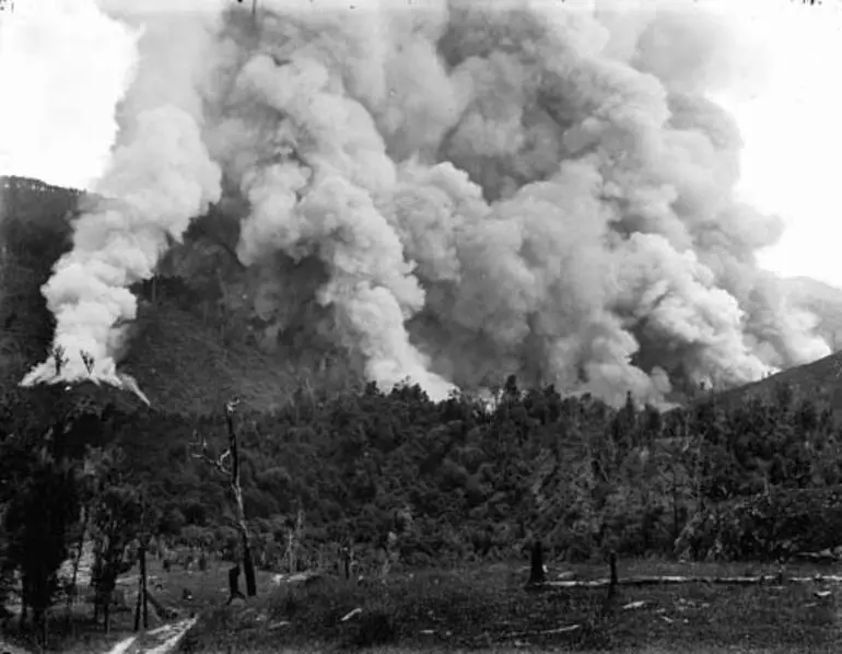 Image: Clearing the land