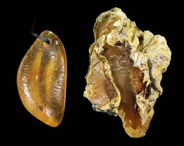 Kauri gum Image: Kauri gum