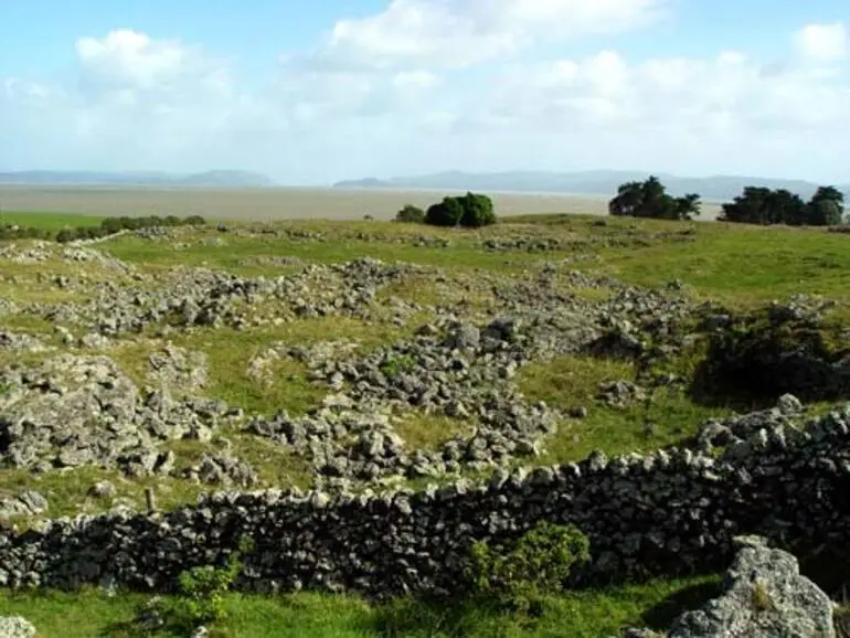 Image: Ōtuataua stonefields