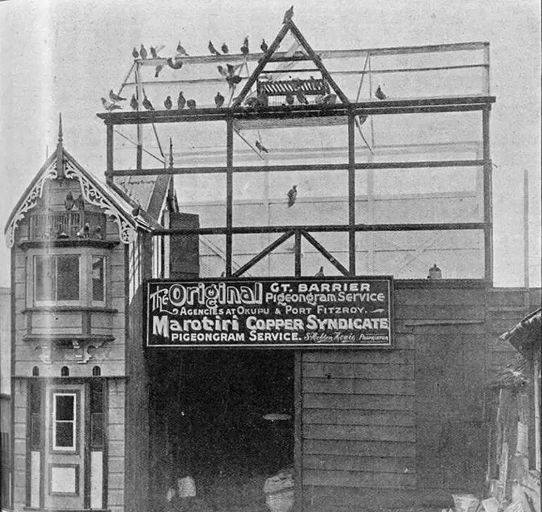 Image: Pigeongram service dovecote