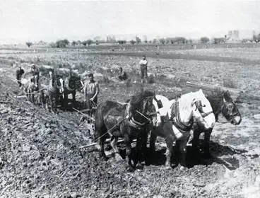 Image: Ploughing on a Māori land scheme