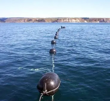 Image: Iwi aquaculture