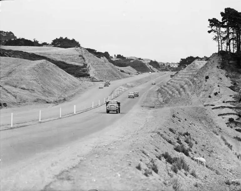 Image: Johnsonville motorway