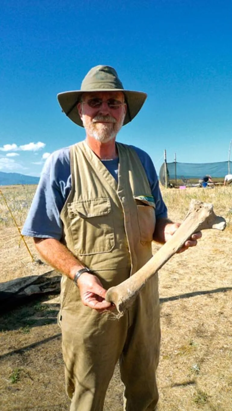 Image: Moa bone at Wairau Bar