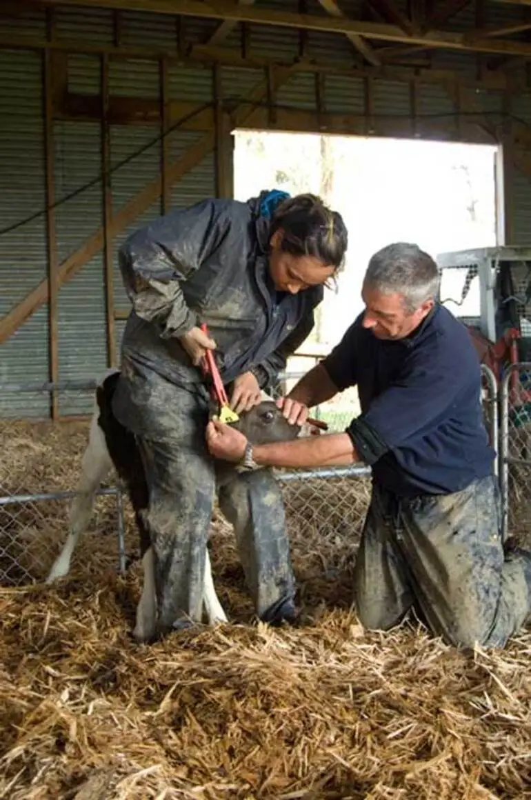 Image: Agriculture modern apprentice