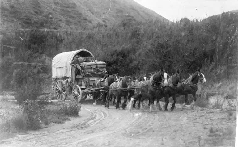 Image: Getting wool to the coast