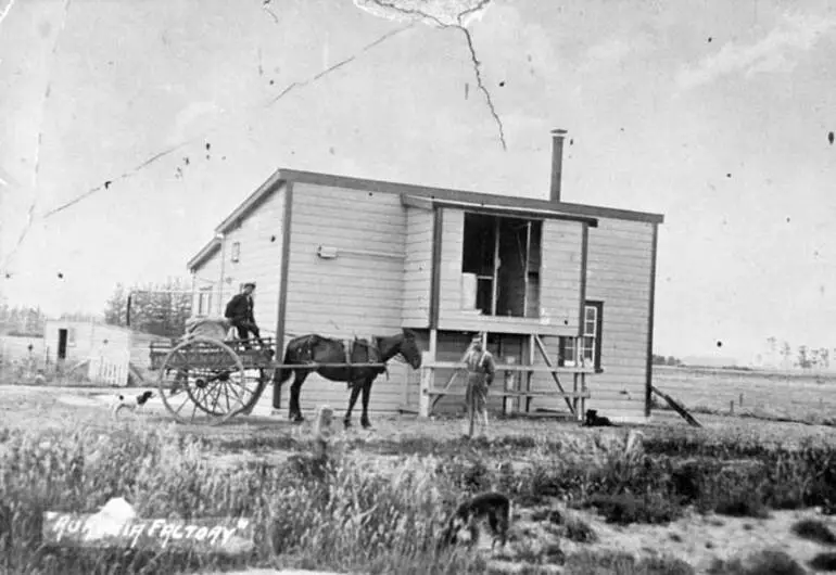 Image: Dairy factory at Rukuhia, Waikato, around 1907