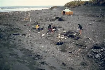 Image: Excavating a moa-hunter camp