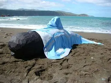 Image: Whale blanket