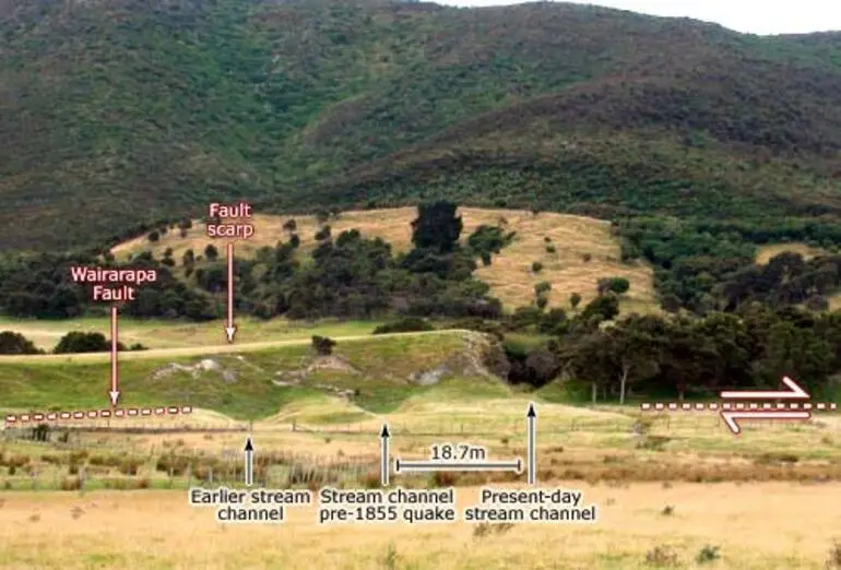 Image: Wairarapa Fault scarp, Pigeon Bush