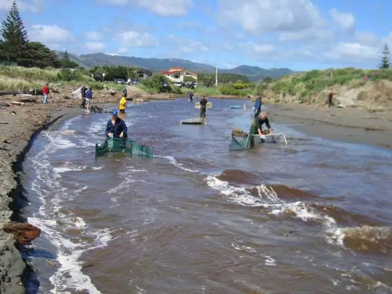 Image: Whitebaiting, Waikanae