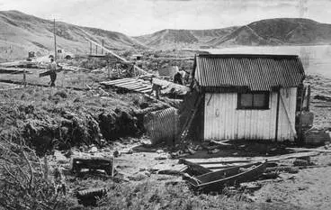 Image: Turihaua Point, 1947