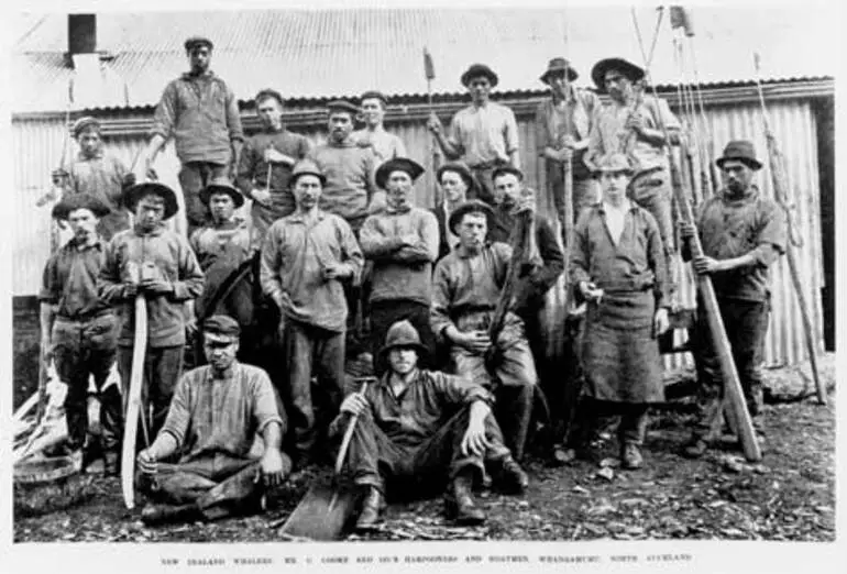 Image: Whangamumu whalers