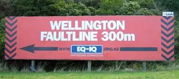 Image: Finding the Wellington Fault