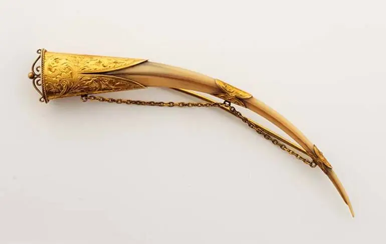 Image: Huia-beak brooch