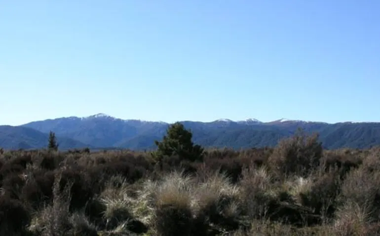 Image: Kaimanawa Mountains