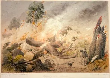 Image: Burning the bush, Taranaki