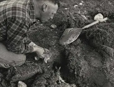 Digging up rabbit holes Image: Digging up rabbit holes