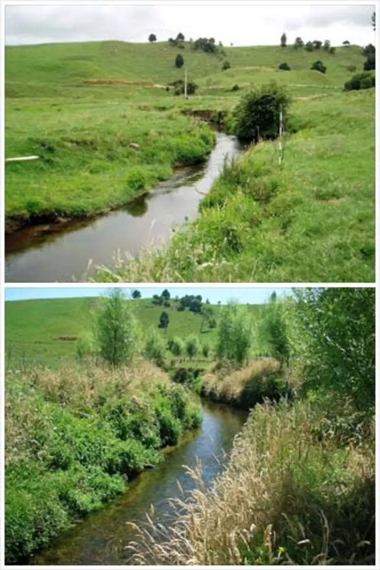 Image: Benefits of fencing waterways