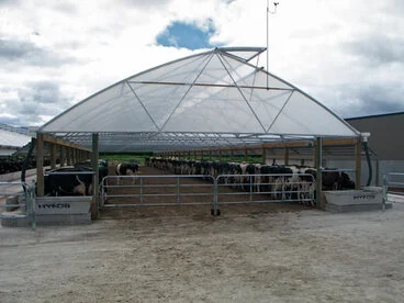 Image: Dairy shelter building