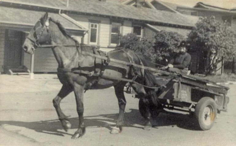 Image: Travelling herd tester