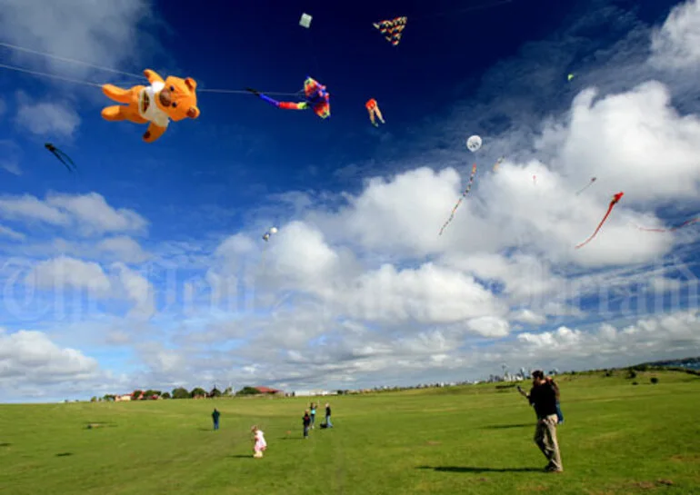 Image: Kites over Bastion Point