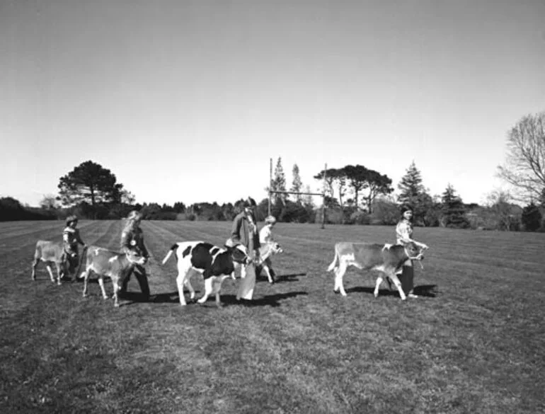 Image: Calf club day