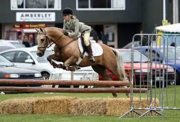 Image: Show-jumping