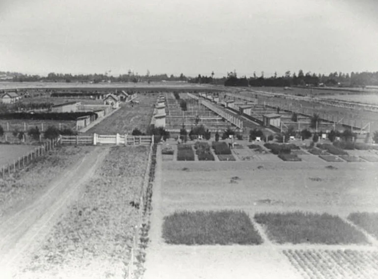 Image: Ruakura Experimental Station