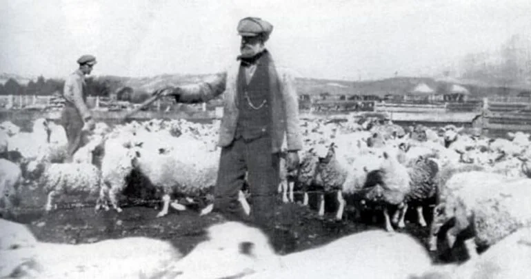 Image: Scottish shepherd