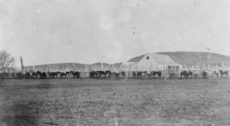 Image: Waiohiki