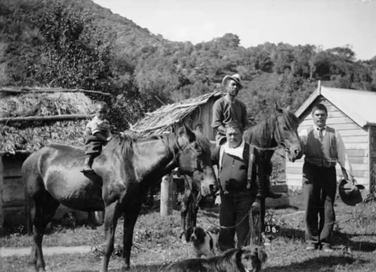 Image: Young rider