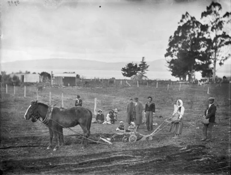 Image: Horse and plough