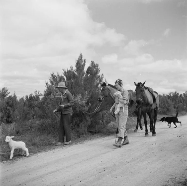 Image: Land girl and lambs