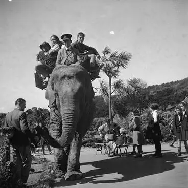 Image: Elephant ride
