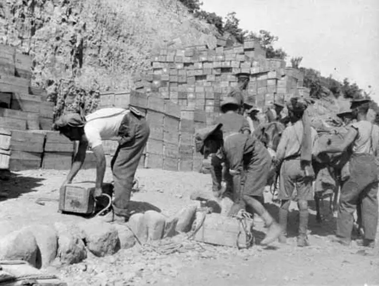 Image: Indian troops at Gallipoli, 1915
