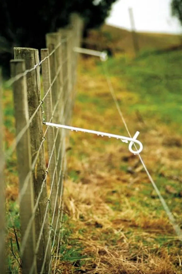 Image: A pigtail