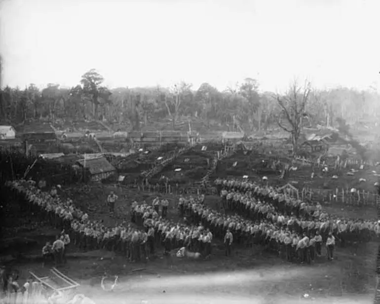 Image: Government forces near Parihaka