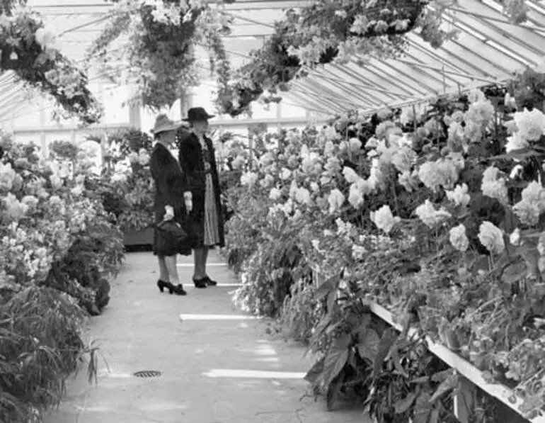 Image: Begonia House, Wellington Botanic Garden