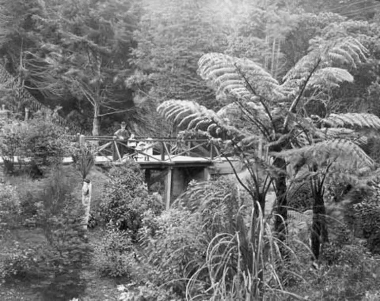 Image: Wellington Botanic Garden