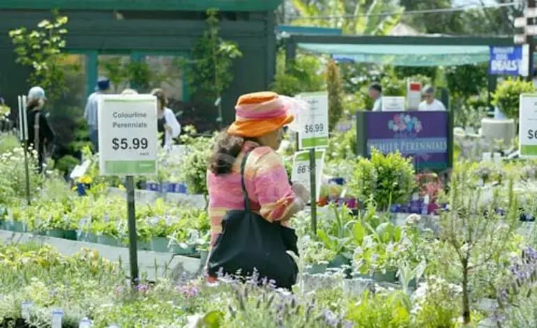 Image: Garden centre shopping, Labour Day 2005