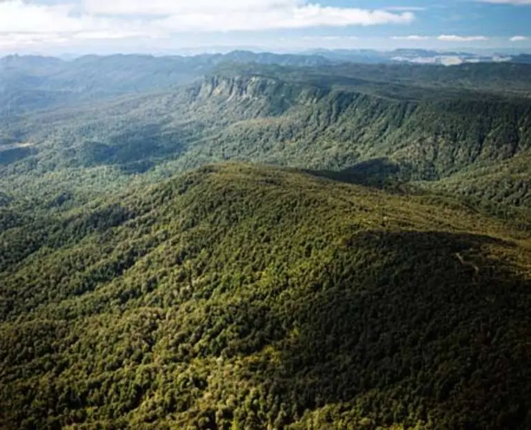 Image: Maungapōhatu