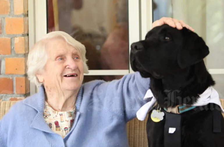 Image: Therapy pet