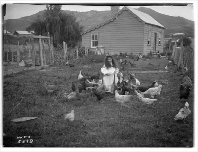 Image: Daughter feeding chooks