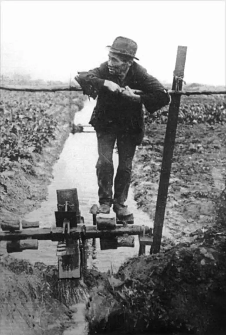 Image: Chinese market gardener in South Dunedin