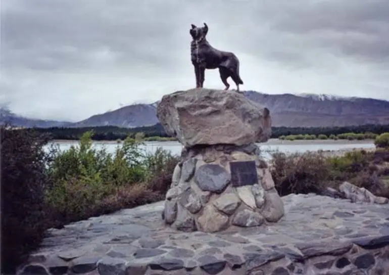 Image: The sheepdog memorial, Lake Tekapo