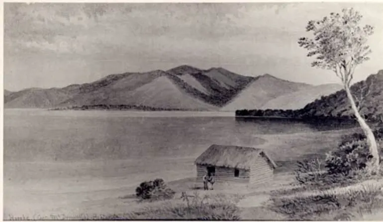 Image: Hōreke, Hokianga